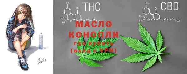 дмт Богородицк