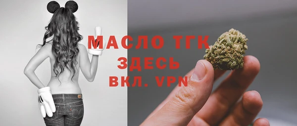 дмт Богородицк