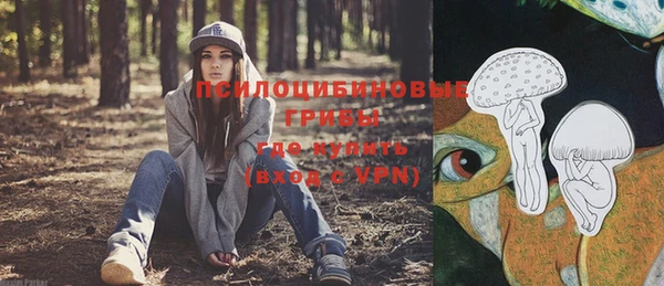 дмт Богородицк