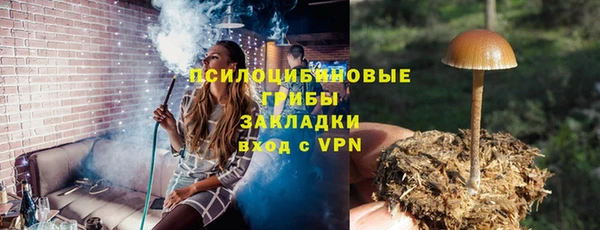 apvp Богданович