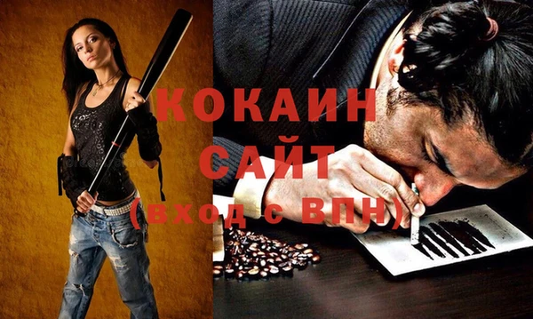 дмт Богородицк