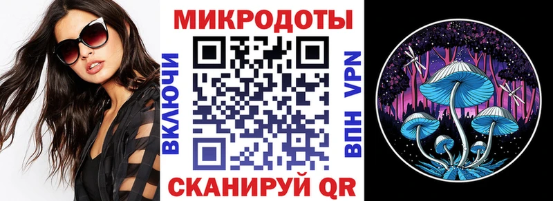 Купить где  Микунь  Псилоцибиновые грибы Psilocybe 