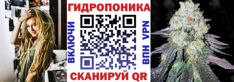 Купить где  Микунь  Шишки марихуана ГИДРОПОН 